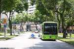 smb12b_h_07042024