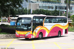 tc3393_ns_10062024