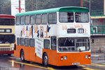taihing_08