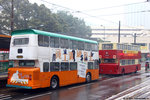 taihing_10