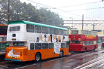taihing_11