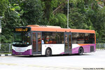 sbs8817j_131_08032026