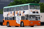 taipo_02