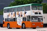 taipo_03