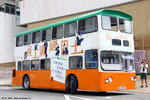 taiwai_48
