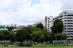 woodlands_10032025