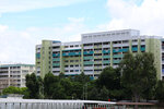 woodlands_10032025_02