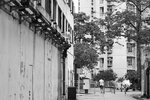 IMG_6561
