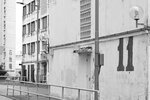 IMG_6563