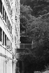 IMG_6573