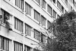 IMG_6579