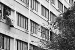 IMG_6581