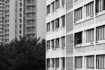 IMG_6589
