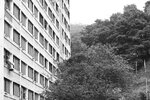 IMG_6614