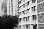 IMG_6616