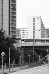 IMG_6669