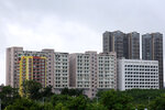byd_north_23