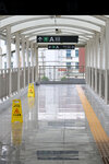 byd_north_25