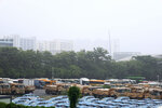 byd_north_31