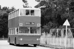 IMG_0162_blackandwhite