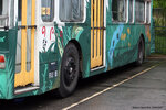 naturebus