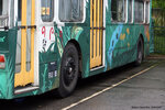 naturebus_300