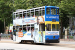 tram104_victoria_park