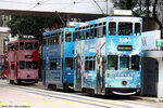 tram137_tram65_tram174
