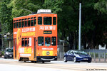 tram137_victoria_park