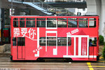 tram172_shaukeiwan_plain