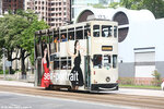 tram173_victoriapark_09062024
