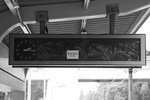 butterfly_station_30072022_bw