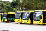ma_wan_11022025