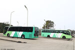 ngongping_terminus_27122024_02