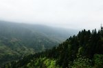 DSC_3602