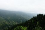 DSC_3605