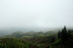 DSC_3631