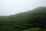 DSC_3696