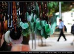 IMG_9100