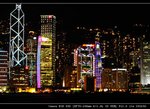 IMG_7446