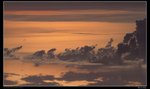 IMG_9796 - Copy