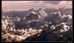 IMG_9818 - Copy