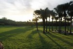 IMG_2961