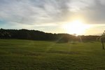 IMG_2963
