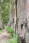 IMG_0194