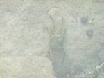 DSCF1519