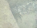 DSCF1523