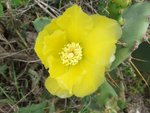 DSCF1561