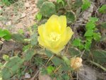 DSCF1564