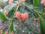 DSCF1724
